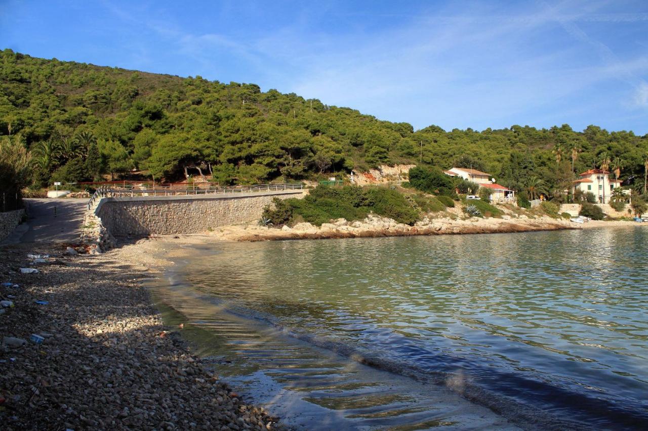 Apartments By The Sea Milna, Vis - 8913 Exterior photo