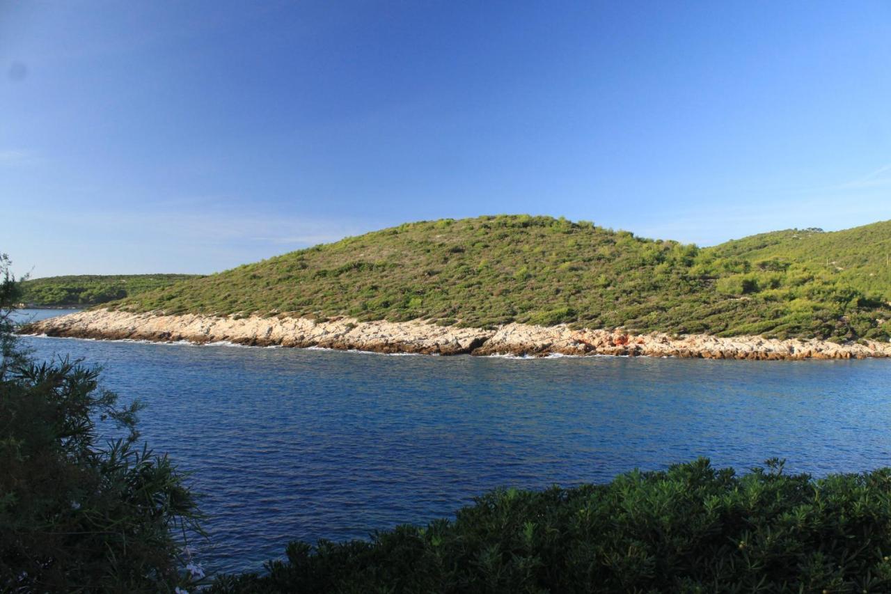 Apartments By The Sea Milna, Vis - 8913 Exterior photo